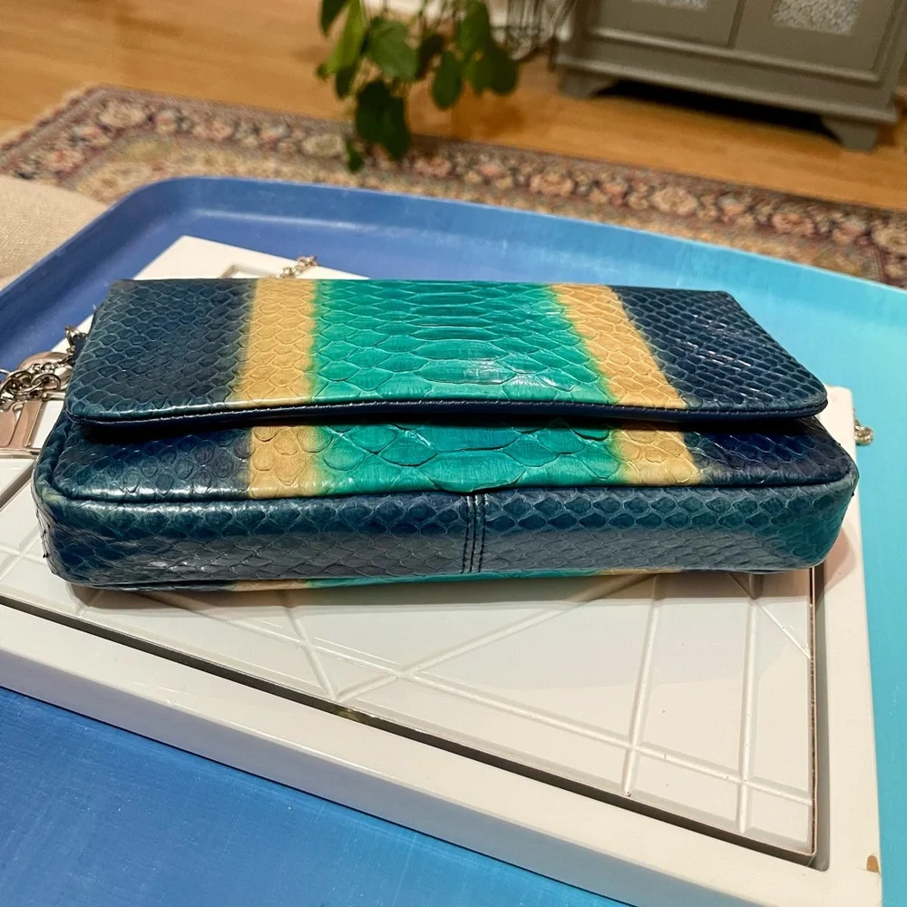 Dior Blue Python & Leather WOC Bag - Picture 7 of 16